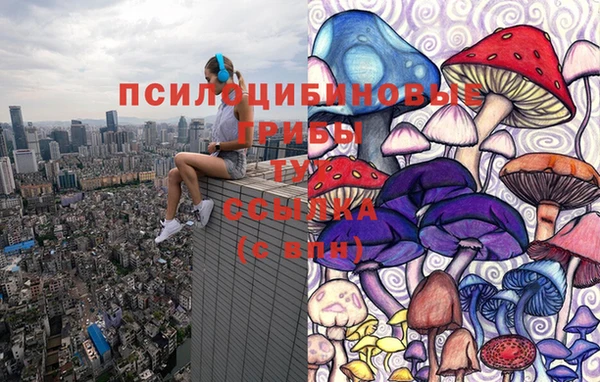 сатива Алзамай