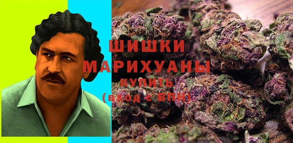spice Алексин