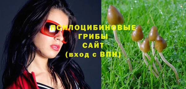 сатива Алзамай