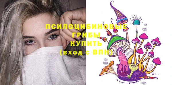 spice Алексин