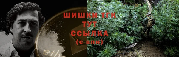 прущие грибы Алексеевка