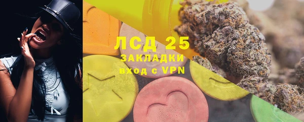 прущие грибы Алексеевка