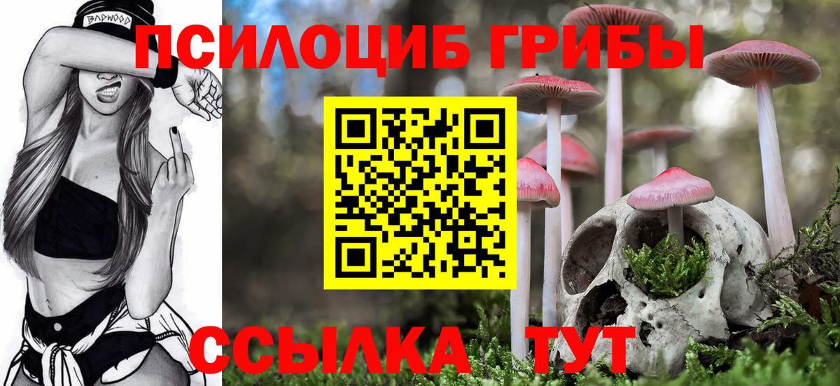 Галлюциногенные грибы Psilocybe  Вход с VPN  Ижевск  Псилоцибиновые грибы Magic Shrooms 