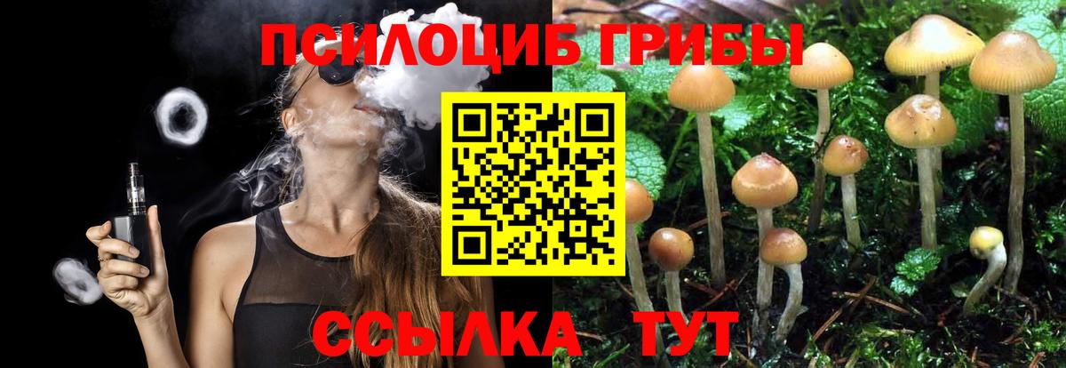 Галлюциногенные грибы MAGIC MUSHROOMS Ижевск